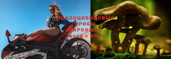 a pvp Армянск