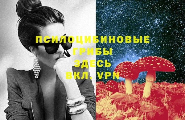 кокс Аркадак
