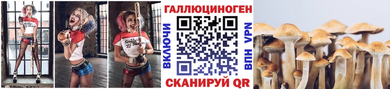 Псилоцибиновые грибы Psilocybine cubensis  Ишимбай 